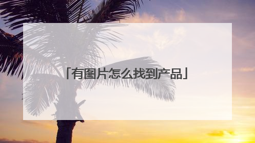 有图片怎么找到产品