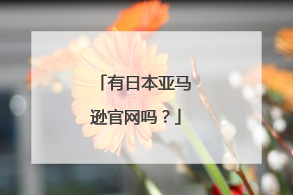 有日本亚马逊官网吗？