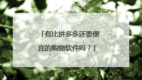 有比拼多多还要便宜的购物软件吗?