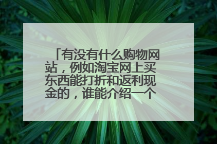 有没有什么购物网站，例如淘宝网上买东西能打折和返利现金的，谁能介绍一个好点的网站？