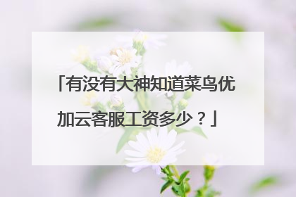 有没有大神知道菜鸟优加云客服工资多少?