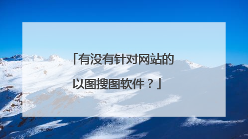 有没有针对网站的以图搜图软件?
