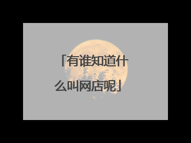 有谁知道什么叫网店呢