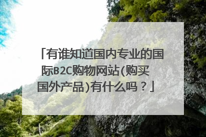 有谁知道国内专业的国际B2C购物网站(购买国外产品)有什么吗?