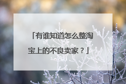 有谁知道怎么整淘宝上的不良卖家?