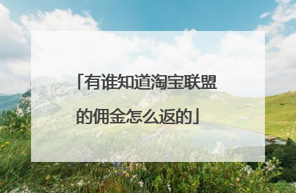 有谁知道淘宝联盟的佣金怎么返的
