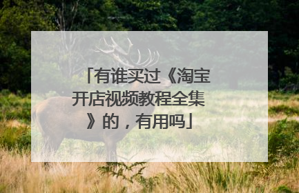 有谁买过《淘宝开店视频教程全集》的,有用吗