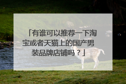有谁可以推荐一下淘宝或者天猫上的国产男装品牌店铺吗?