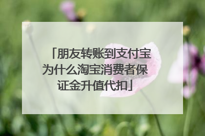朋友转账到支付宝为什么淘宝消费者保证金升值代扣