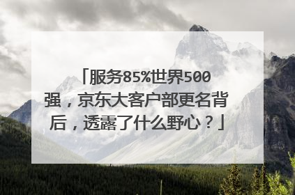 服务85%世界500强,京东大客户部更名背后,透露了什么野心?