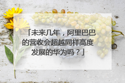 未来几年,阿里巴巴的营收会超越同样高度发展的华为吗?
