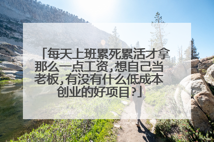 每天上班累死累活才拿那么一点工资,想自己当老板,有没有什么低成本创业的好项目?