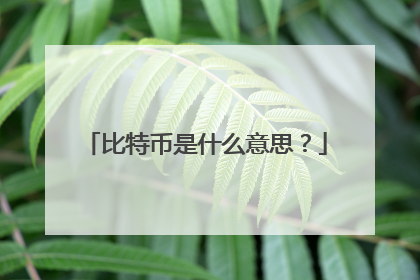 比特币是什么意思?