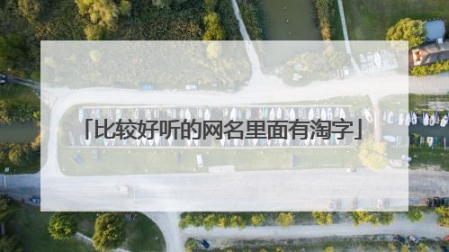 比较好听的网名里面有淘字