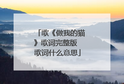 歌《做我的猫》歌词完整版 歌词什么意思