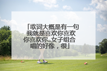 歌词大概是有一句 我就是喜欢你喜欢你喜欢你…女子组合唱的好像,很