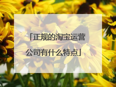 正规的淘宝运营公司有什么特点