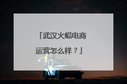 武汉火蝠电商运营怎么样？