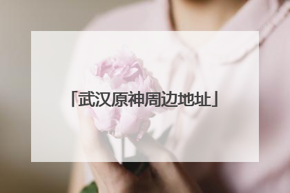 武汉原神周边地址