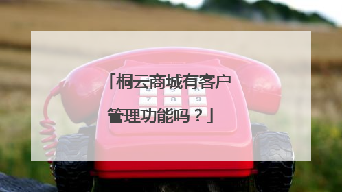 桐云商城有客户管理功能吗？
