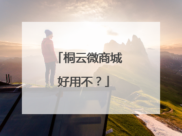 桐云微商城好用不？