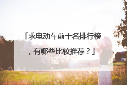 求电动车前十名排行榜，有哪些比较推荐？