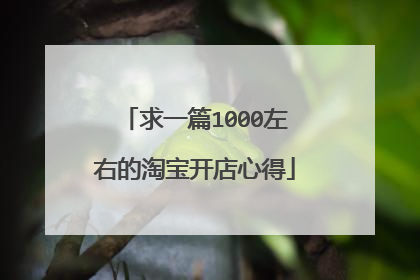 求一篇1000左右的淘宝开店心得