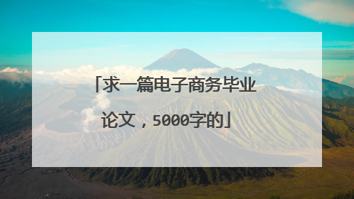 求一篇电子商务毕业论文，5000字的