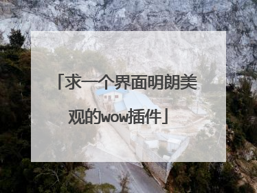 求一个界面明朗美观的wow插件