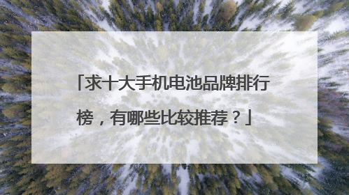 求十大手机电池品牌排行榜,有哪些比较推荐?