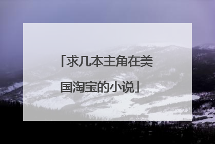 求几本主角在美国淘宝的小说