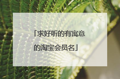 求好听的有寓意的淘宝会员名