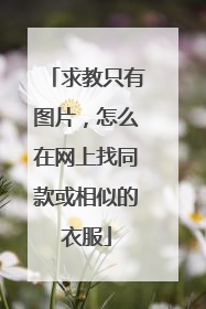 求教只有图片，怎么在网上找同款或相似的衣服