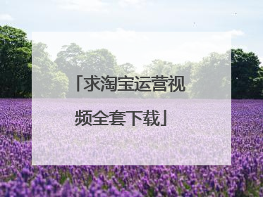 求淘宝运营视频全套下载