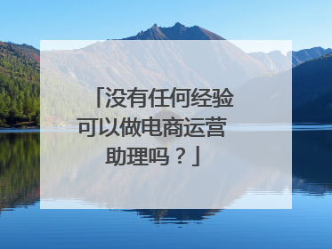 没有任何经验可以做电商运营助理吗?
