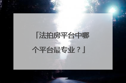 法拍房平台中哪个平台最专业?