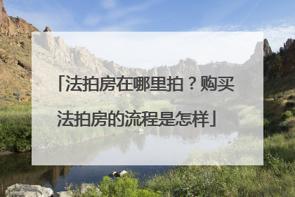 法拍房在哪里拍?购买法拍房的流程是怎样