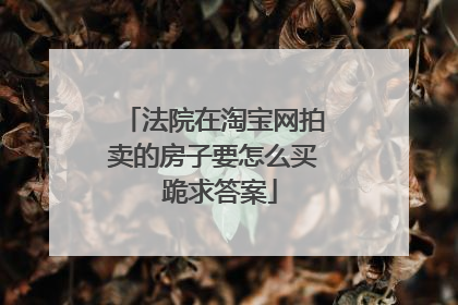法院在淘宝网拍卖的房子要怎么买 跪求答案