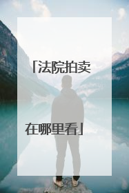 法院拍卖在哪里看