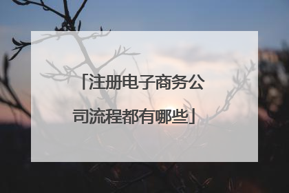 注册电子商务公司流程都有哪些