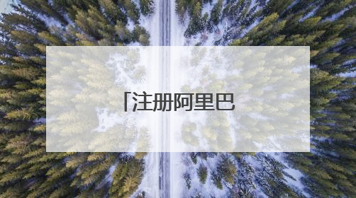 注册阿里巴巴国际站需要什么手续?