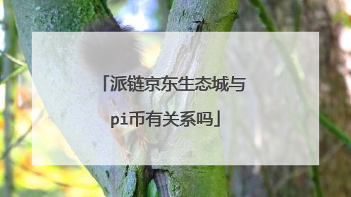 派链京东生态城与pi币有关系吗