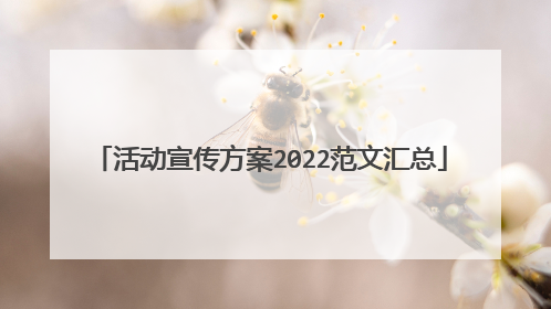 活动宣传方案2022范文汇总