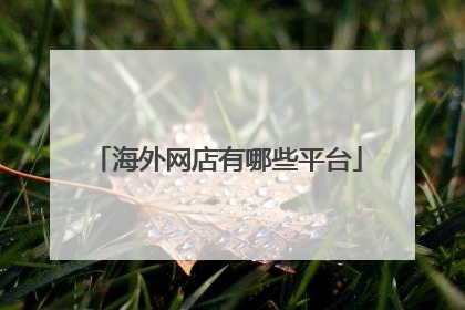海外网店有哪些平台