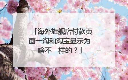 海外旗舰店付款页面一淘和淘宝显示为啥不一样的?