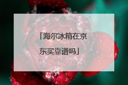 海尔冰箱在京东买靠谱吗
