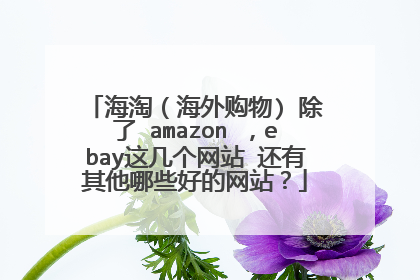 海淘(海外购物) 除了 amazon ,ebay这几个网站 还有其他哪些好的网站?