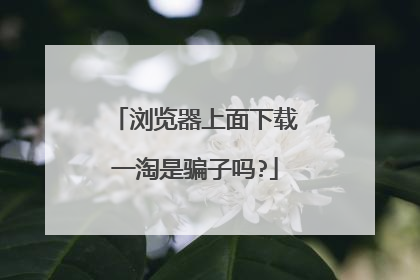 浏览器上面下载一淘是骗子吗?