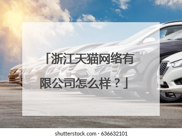 浙江天猫网络有限公司怎么样?