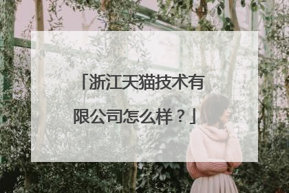 浙江天猫技术有限公司怎么样？